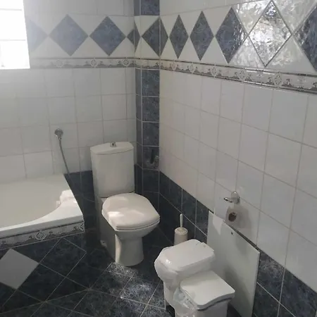 Apartment Babis House
