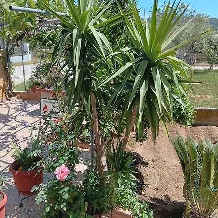 Babis House * Limenaria (Thasos)