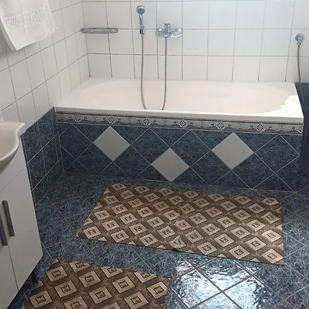 Apartment Babis House