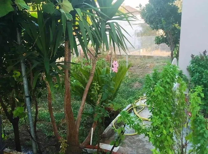 Babis House Апартаменты