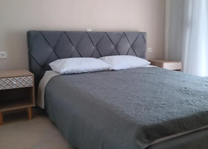 Apartment Babis House