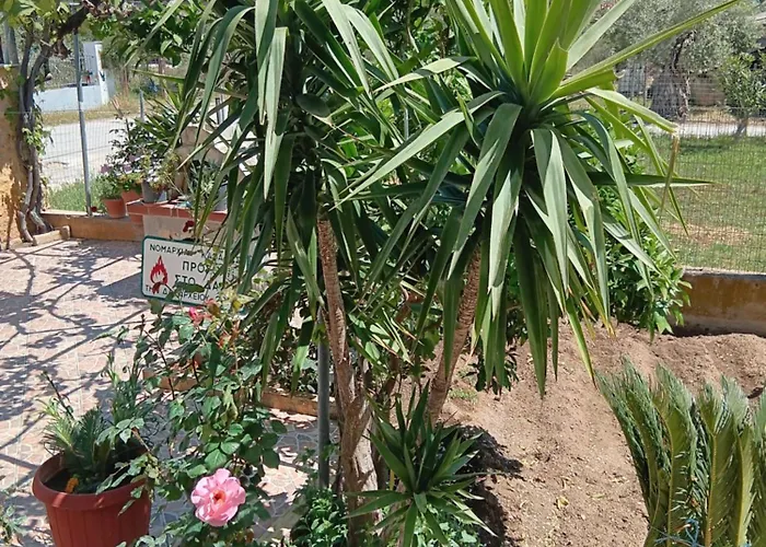 Babis House * Limenaria (Thasos)